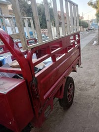 ستوته • للبيع • بعيره