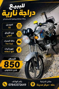 دايون عظم • موديل ١٩ • اوراق أصولي