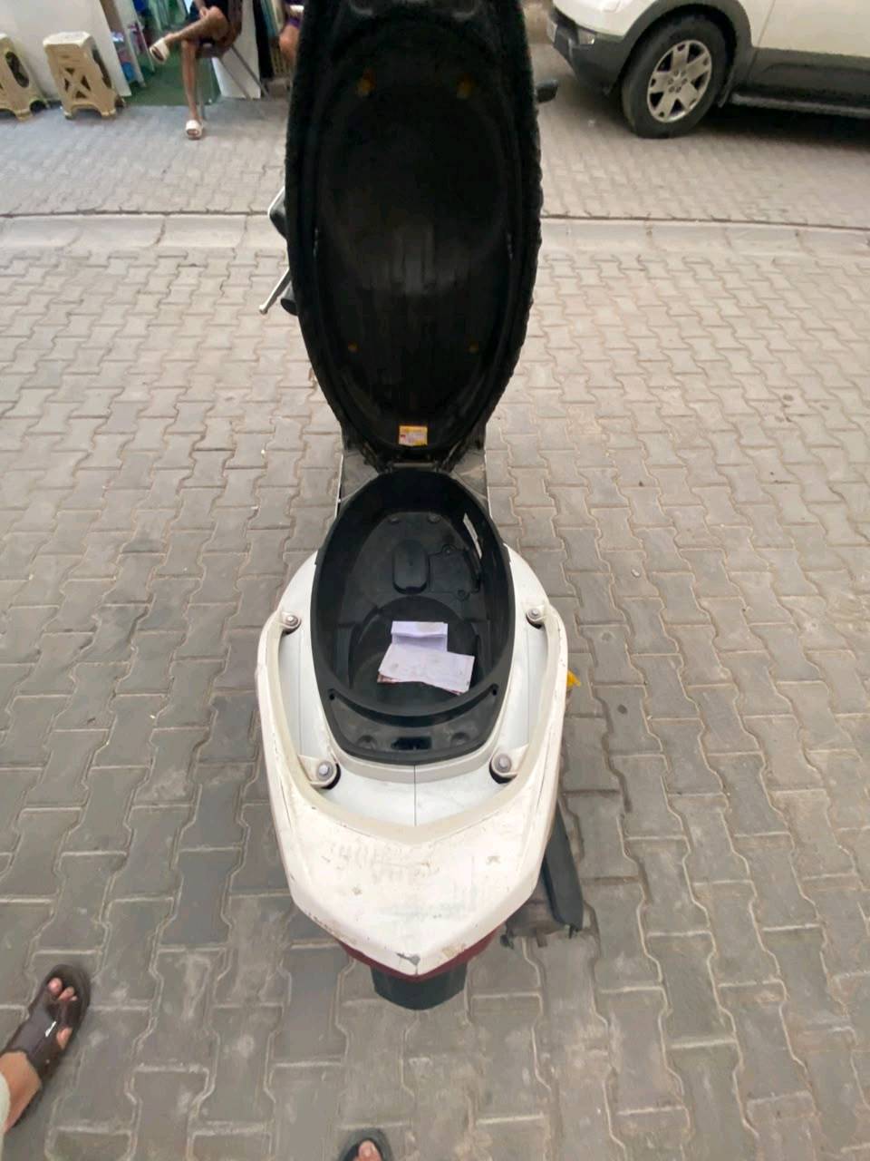 سكنس فحل • نوزل • ياباني