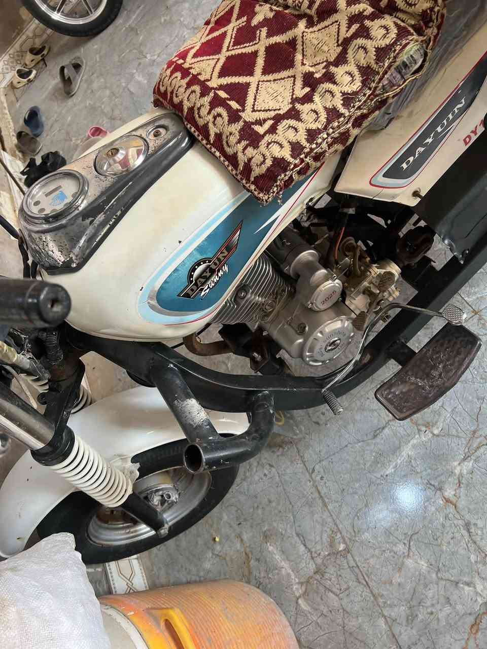 ستوته • دايون • سنوية