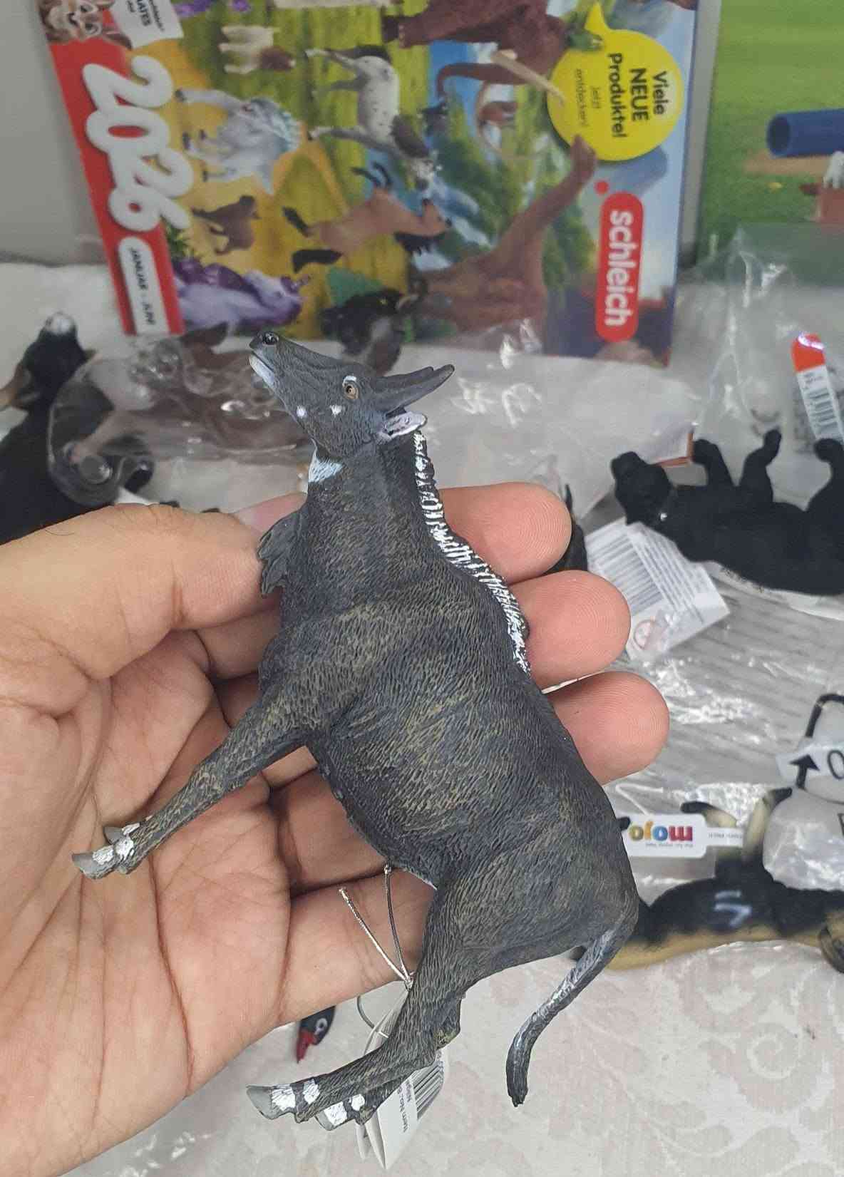 أول شحنة • حجز مسبق • جمال القطع