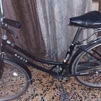 بيسكل ٢٦ • جديد