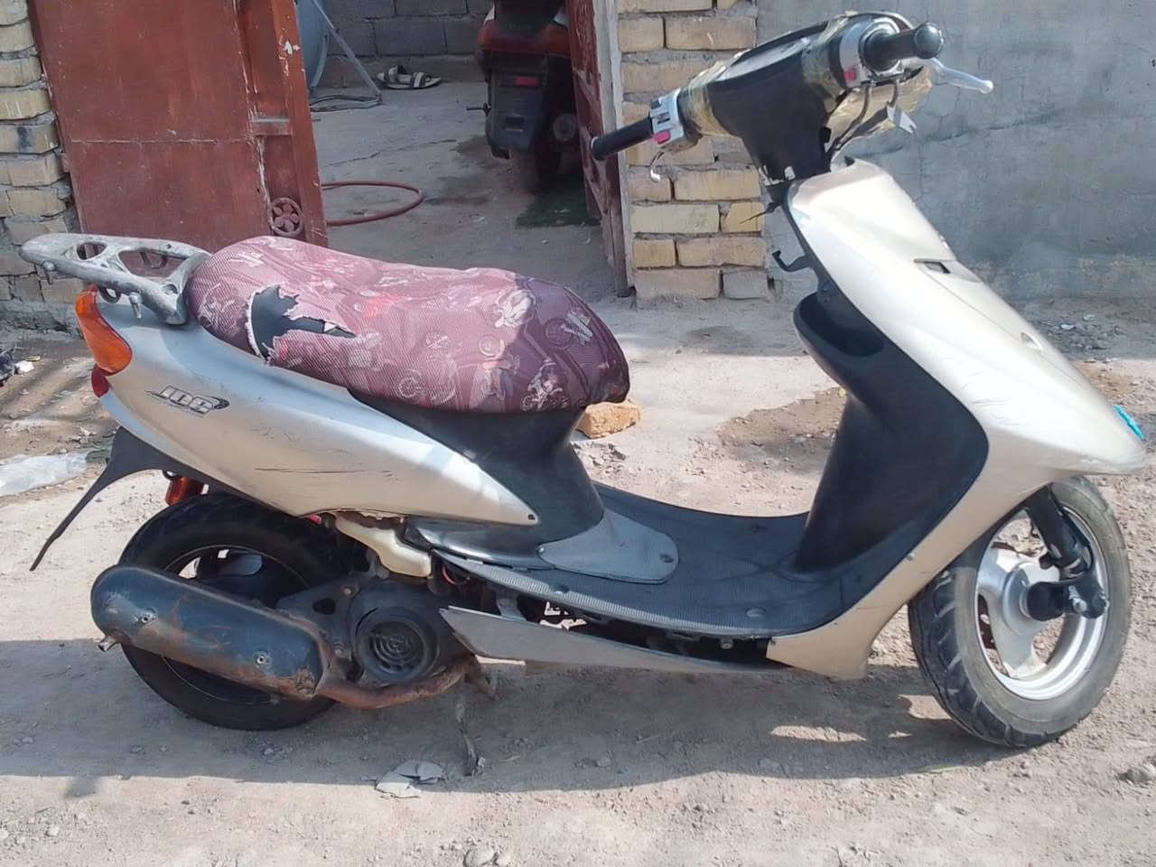 عصفور • شغاله • مكينه زينه