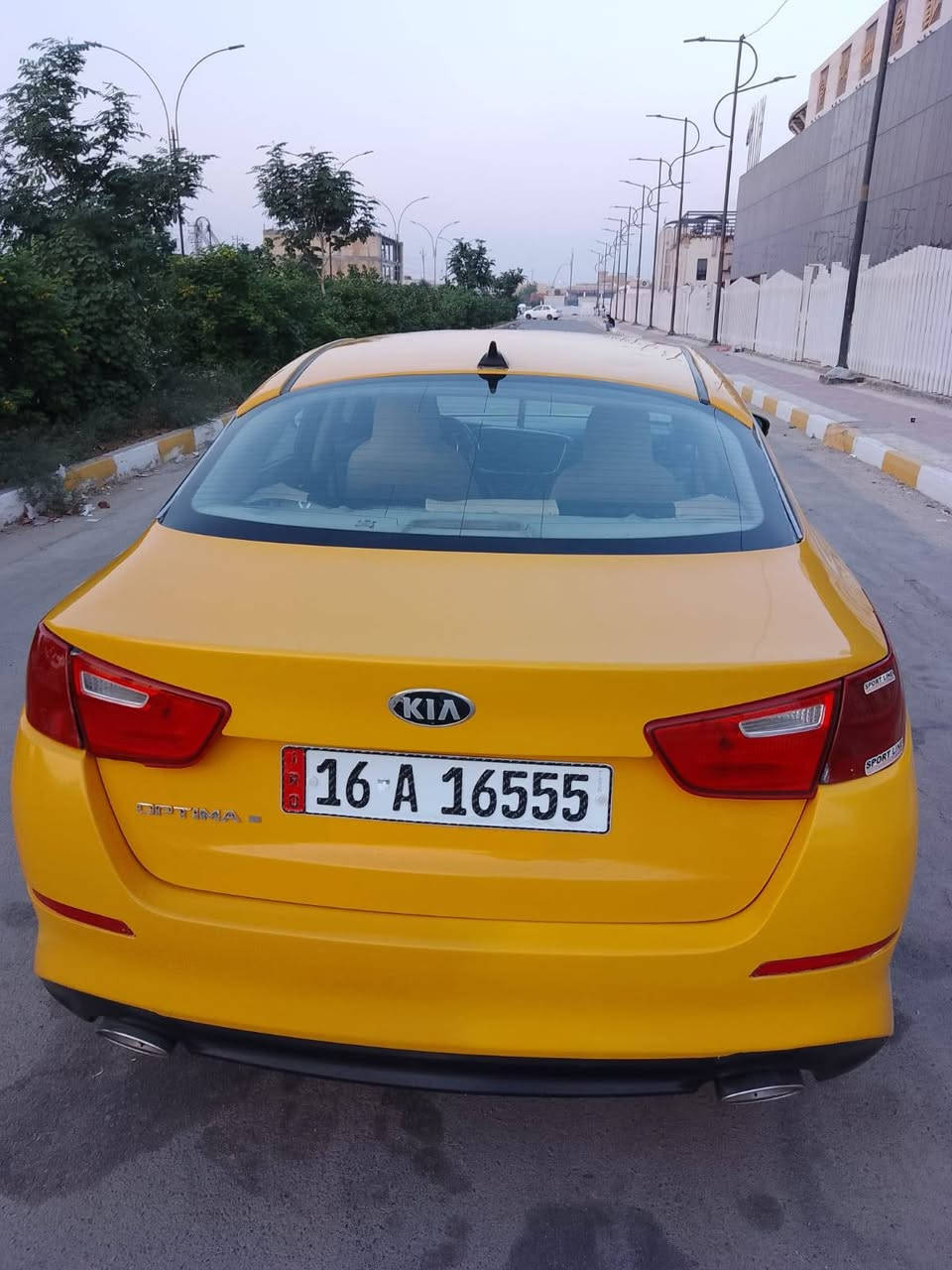 اوبتيما • ٢٠١٥ • وارد امريكي