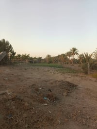 ٢ دونم • طابو • زراعي