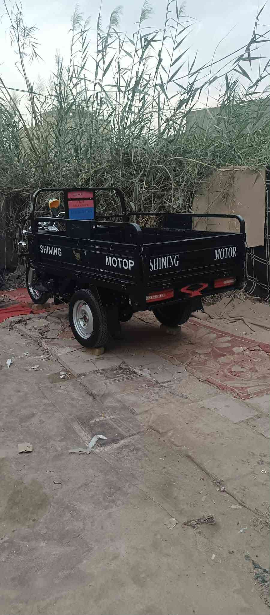 ستوته • مكفوله • ٢٣