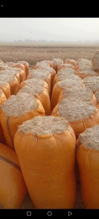 تبن • درجة أولى • كافة الأحجام
