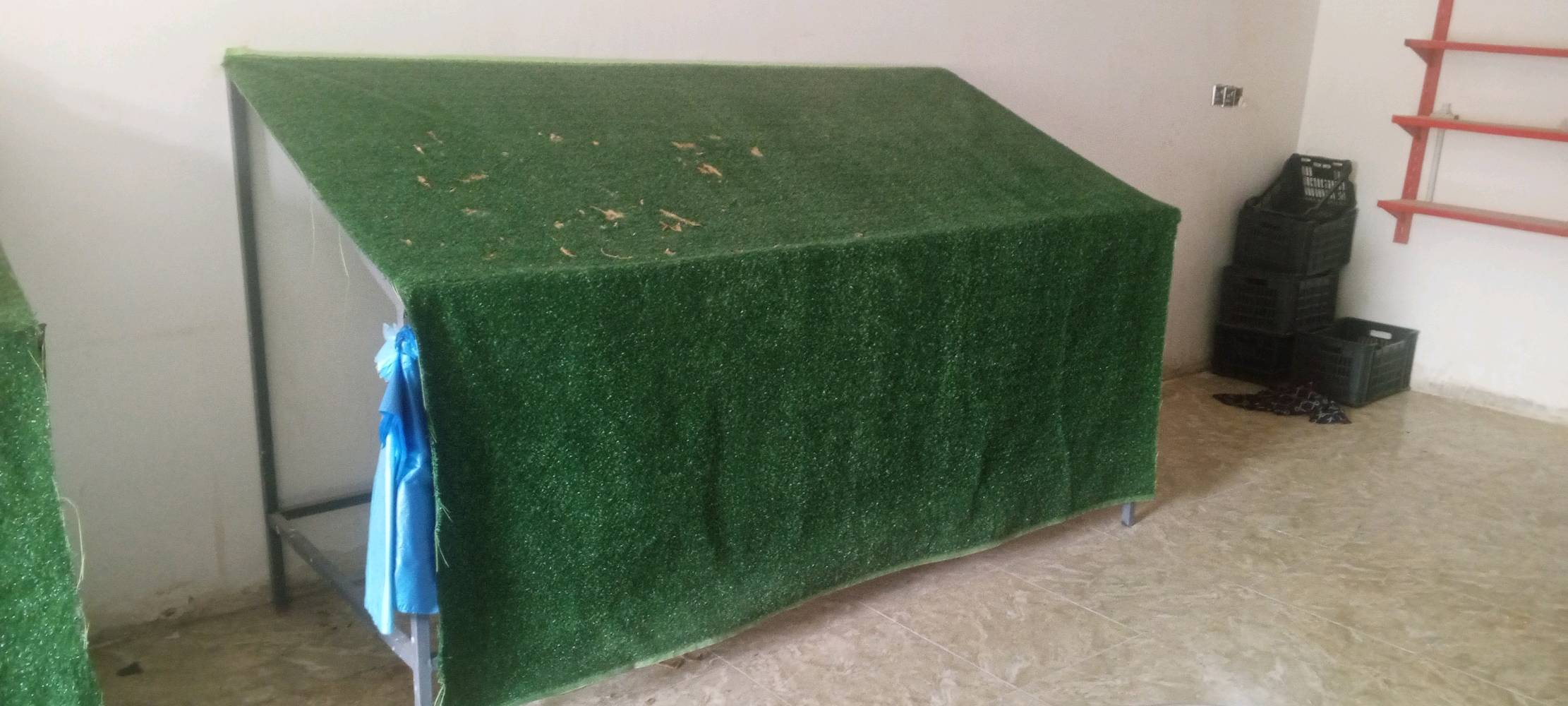 السلام عليكم تجهيز محل مخضر للبيع والله صالي سبوع من فتحت وعزلت بعدهن جدد وجاهزات وكلشي اصلي شاهد الله سلال 10
ميزان ابو 20كيلو وياهن سعر مناسب 600وبيهن مجال 
الطول مالتهن 10امتار 
الميز الواحد مترتين ونص 
رقم الهاتف  ***********
المكان ناصريه مركز