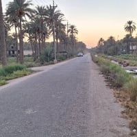 طابو زراعي • سند ٢٥ • ٤٣٧٥م