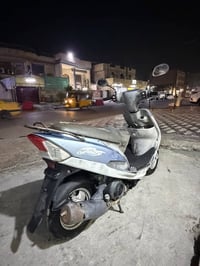ماكس منغولي للبيع المكان بغداد المشتل رقم التليفون 07755668038