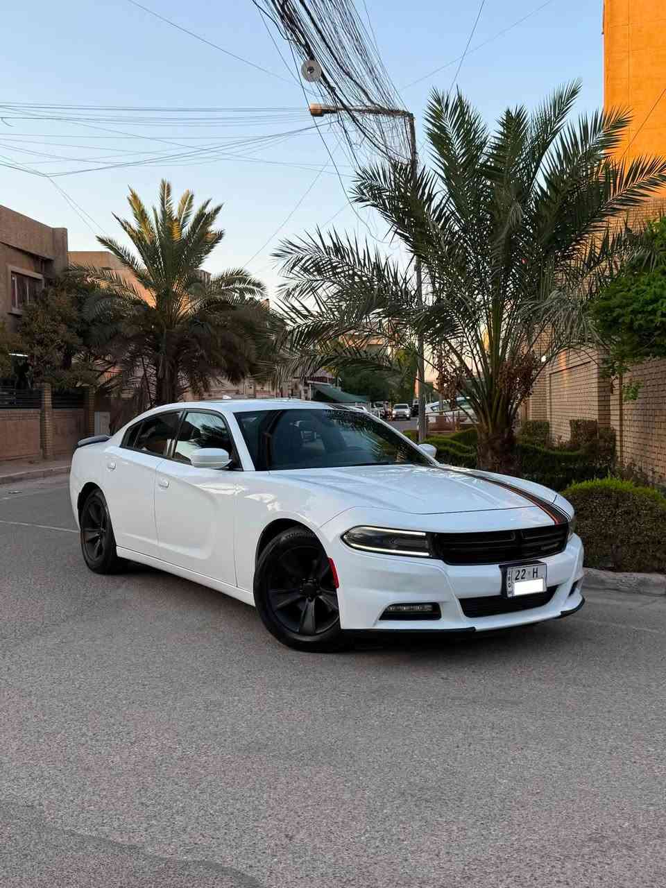 السلام عليكم 
لليدور جارجر جديده بالعافيه عليه هاي السياره
جارجر SXT 2016 كندي كفاله بدون قطره صبغ
رقم اربيل الجديد باسمي

موصفات
بصمه 
سستم صوت b
كشنات تدفئه 
رادار 
حساس امامي خلفي
انظمه قياده
شاشه كبيره 
تشغيل عن بعد 
كروز سرعه 
وبعد بيها مواصفات المعروفه

سياره جديده بمعنى الكلمه صدرها حلو كشرها حلو لابيه تكحيل لا صبغ لا شخوط سياره على وضع البلاد حت دعامياتها الاصليه 

ادامه كامله على المحرك والدهون والفلاتر يعني سياره كامله مناقصها شي حت تخم تاير شادلها صدر كله قطعه وحده 

رايدها ب194 ورجاءً مو شراي لتعلق وتعبني كلمه طيبه منك واعبر المنشور حبيبي انت🤍🌹
مكاني الوزيرية
للاستفسار ***********
