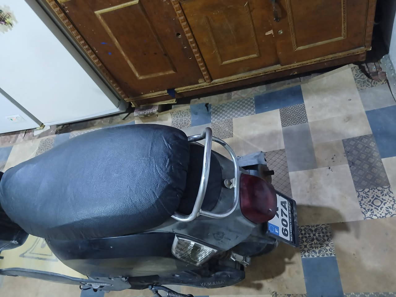 بولبس • نضيف • لبصرة
