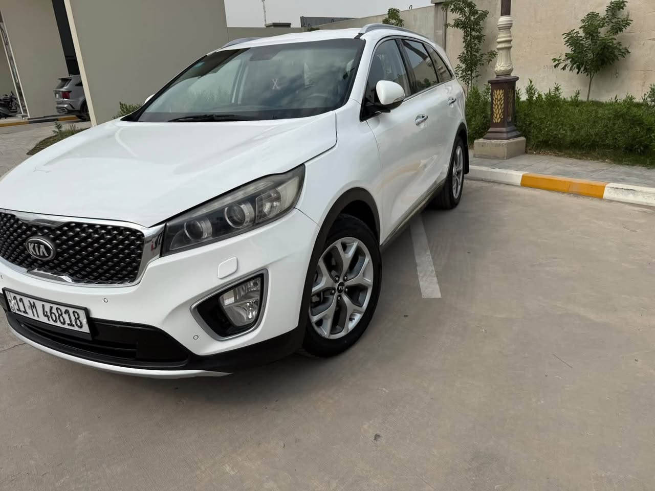 قطع • صبغ • ٢٠١٦