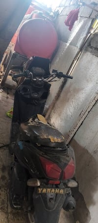 مستعجل • الزنجيل • فالت