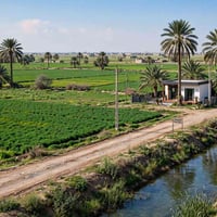 > للبيع نص دونم ركن او مراوس بسيارة > بغداد / الرضوانية الشرقية او الي...