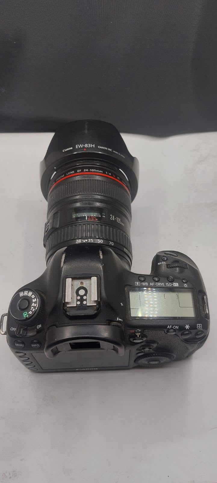 كانون 5D Mark III • عدسة 24-120 • الامين الثانية