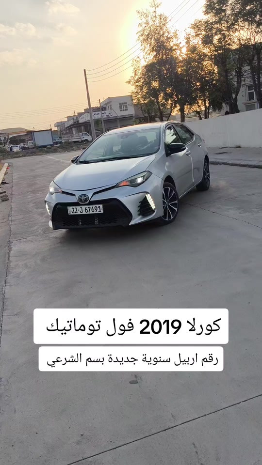 كورلا • ٢٠١٩ • رقم اربيل