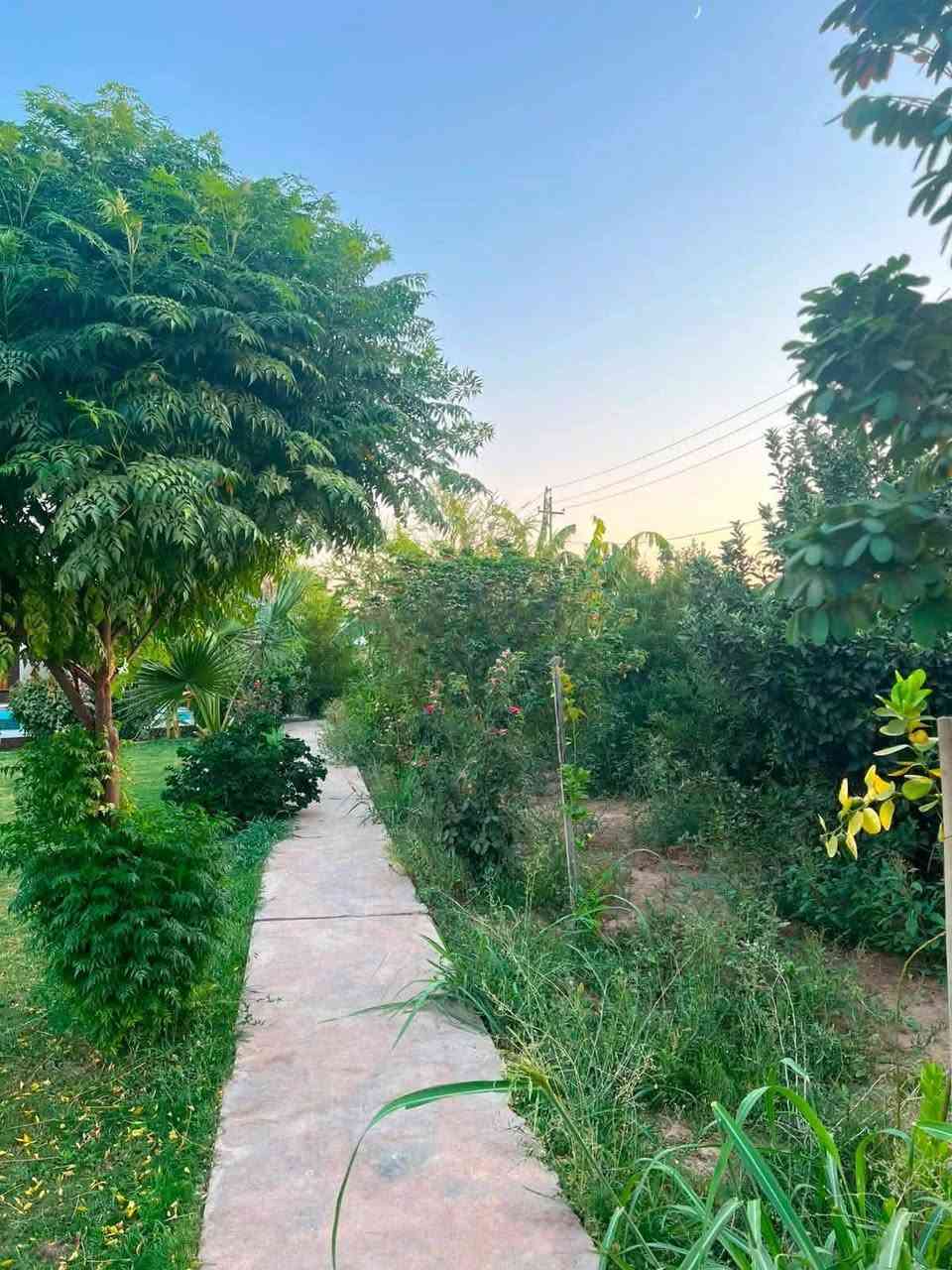 بستنة • أرض زراعية • فحص مجاني