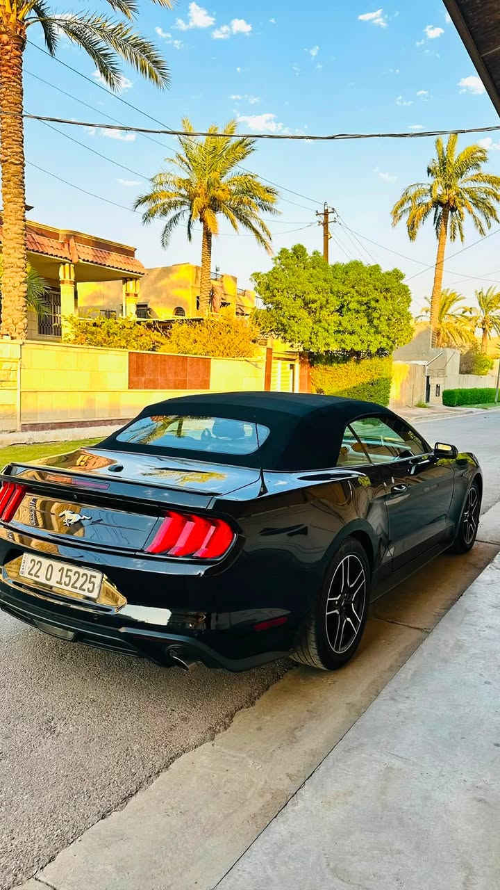 السلام عليكم
-فورد موستنگ  Ford Mustang  ✅
-موديل  2023  كشف قماش ✅
-محرك 2300 توربو Ecopost ✅
-رقم اربيل الدولي تحويل او وكالة ثاني يوم ✅
-حادث بنيد فقط فقط بدون دواخل وايرباك ✅
-ماشية 65.000 حقيقي  ✅
-سيارة جديدة بمعنى الكلمة ✅
مواصفات السيارة :
-كشف
-محرك 4 انظمة قيادة 
(نورمال - سبورت - تراك - ثلجي/رطب )
-الگير  10 سرعات (نمر)
-الاستيرن تدفئة تبريد + 3 انظمة قيادة 
( سبورت - نورمال - كومفرت )
-كشنات جلد كهرباء + تدفئة تبريد
-مانع انزلاق 
وباقي المواصفات تجون وتشوفوها السيارة نظيفة ومكفولة كفالة عامه 
السعر 175 وبيها مجال بسيط
العنوان بغداد البلديات 
للاستفسار ***********
صور الحادث بالمنشور
