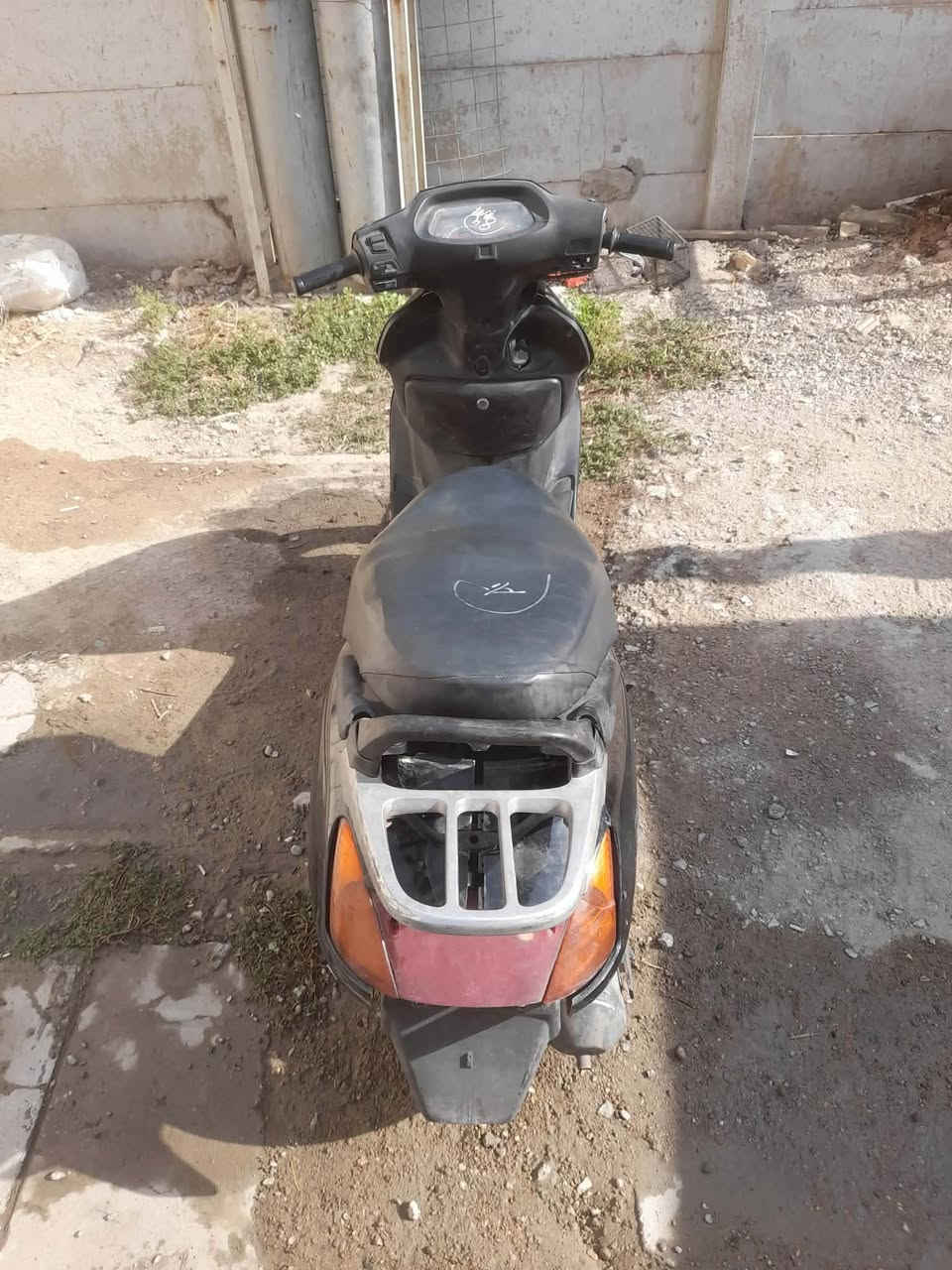 سبيسي • ياباني • متحملة