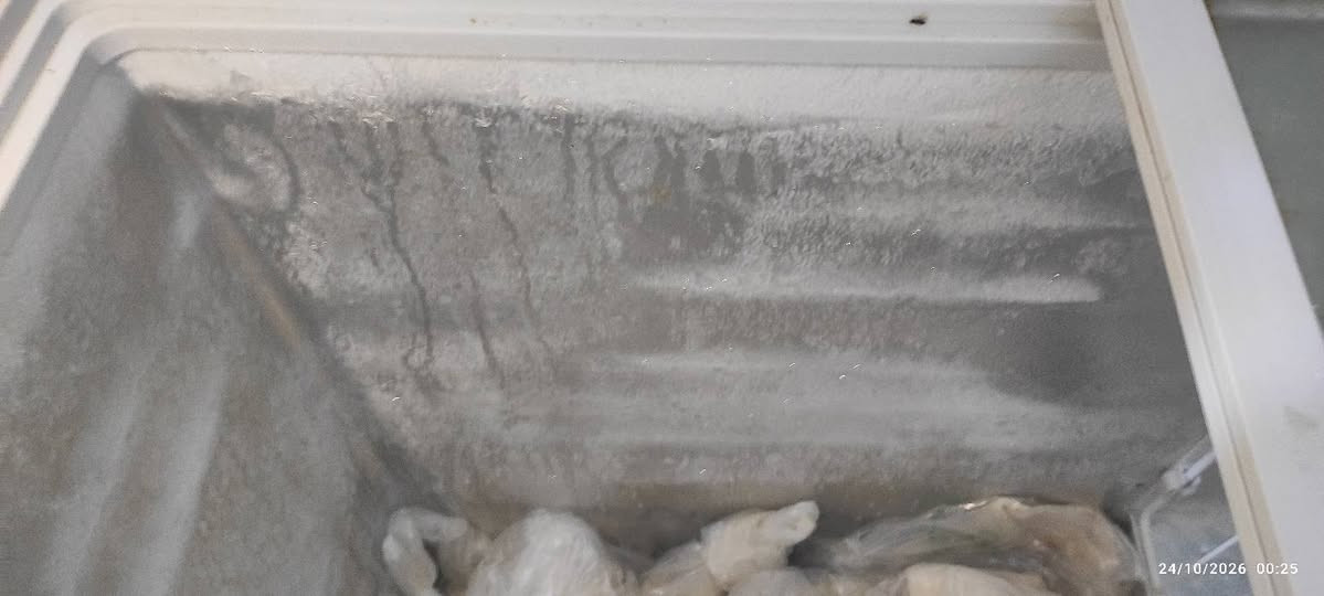 مجمّدة • تجميدها حلو • عيوب بسيطة