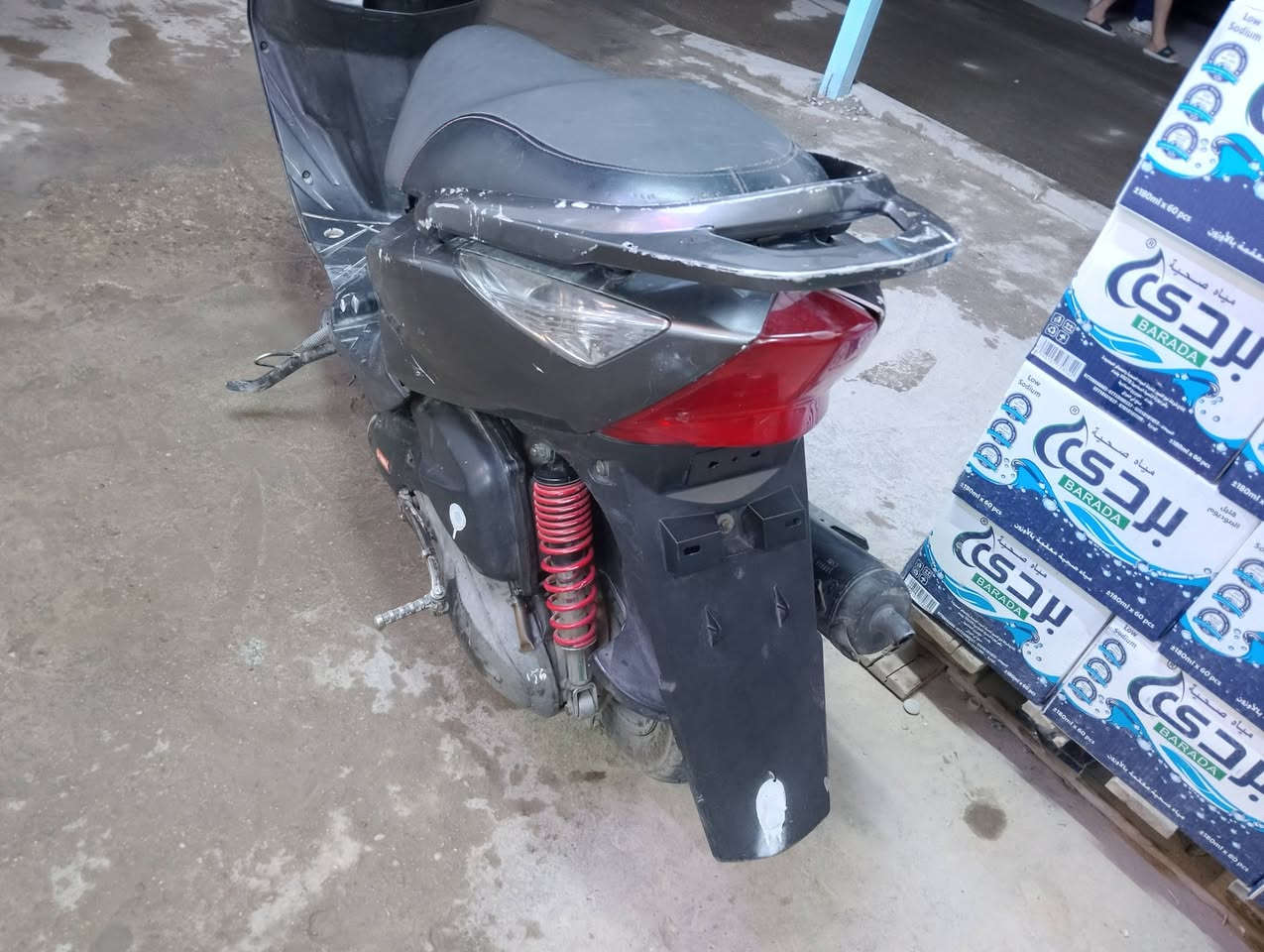 جيتي ار • ثعلب • ١٤٠