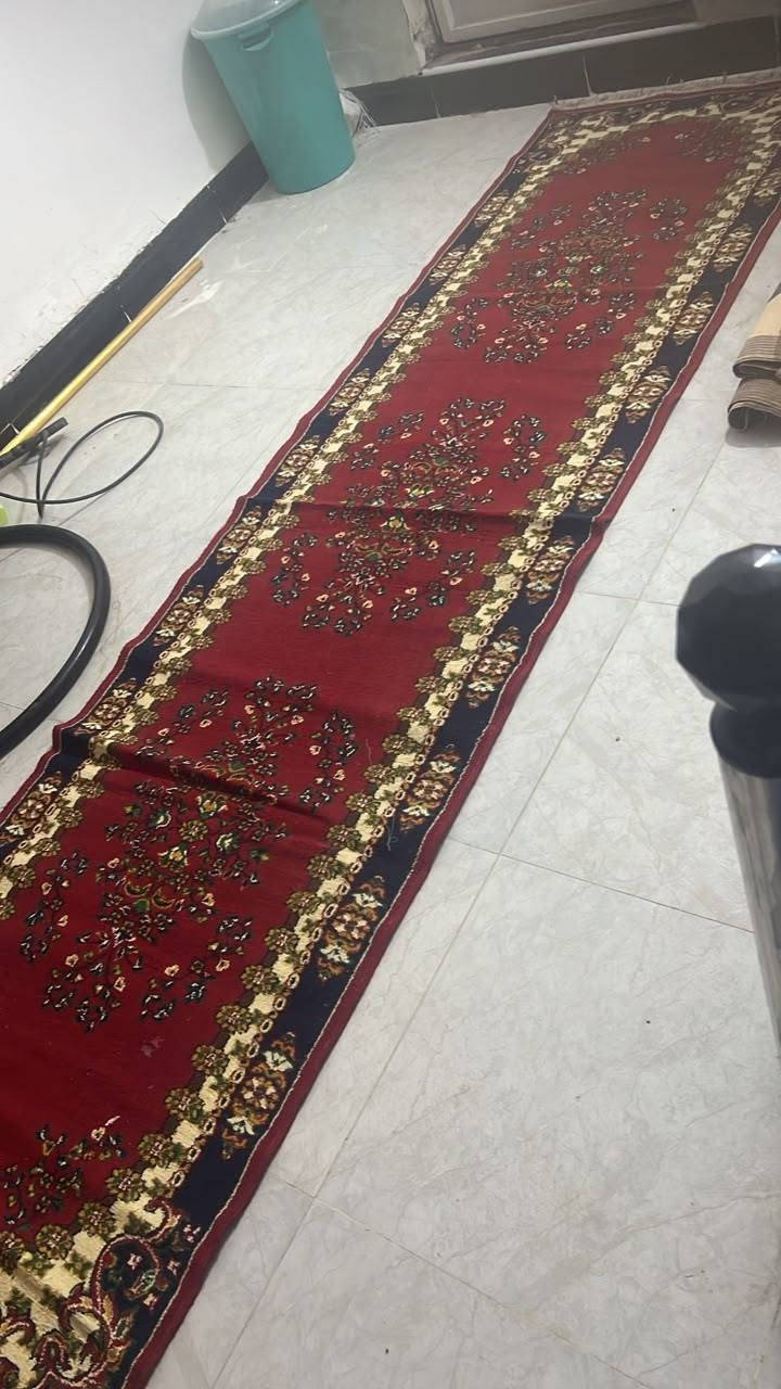 فراشات شتويه • نضيفات • بغداد