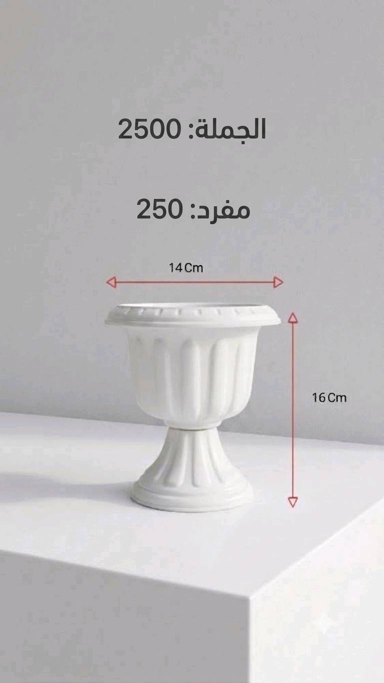 أرخص أسعار بل سوق سنادين نباتات بيع جملة ومفرد وهناك خدمت 

🛑توصيل موصل والمحافضات  
🛑 متواجد على الواتساب ***********