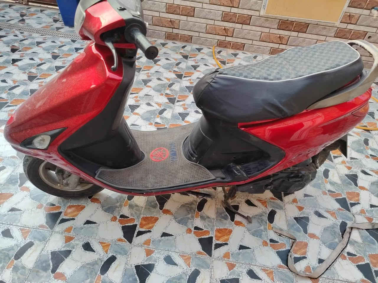 سلام عليكم فراشه فحل حاويه صار شهر من مشتريه للبيع ***********  مكلف بل نشر
