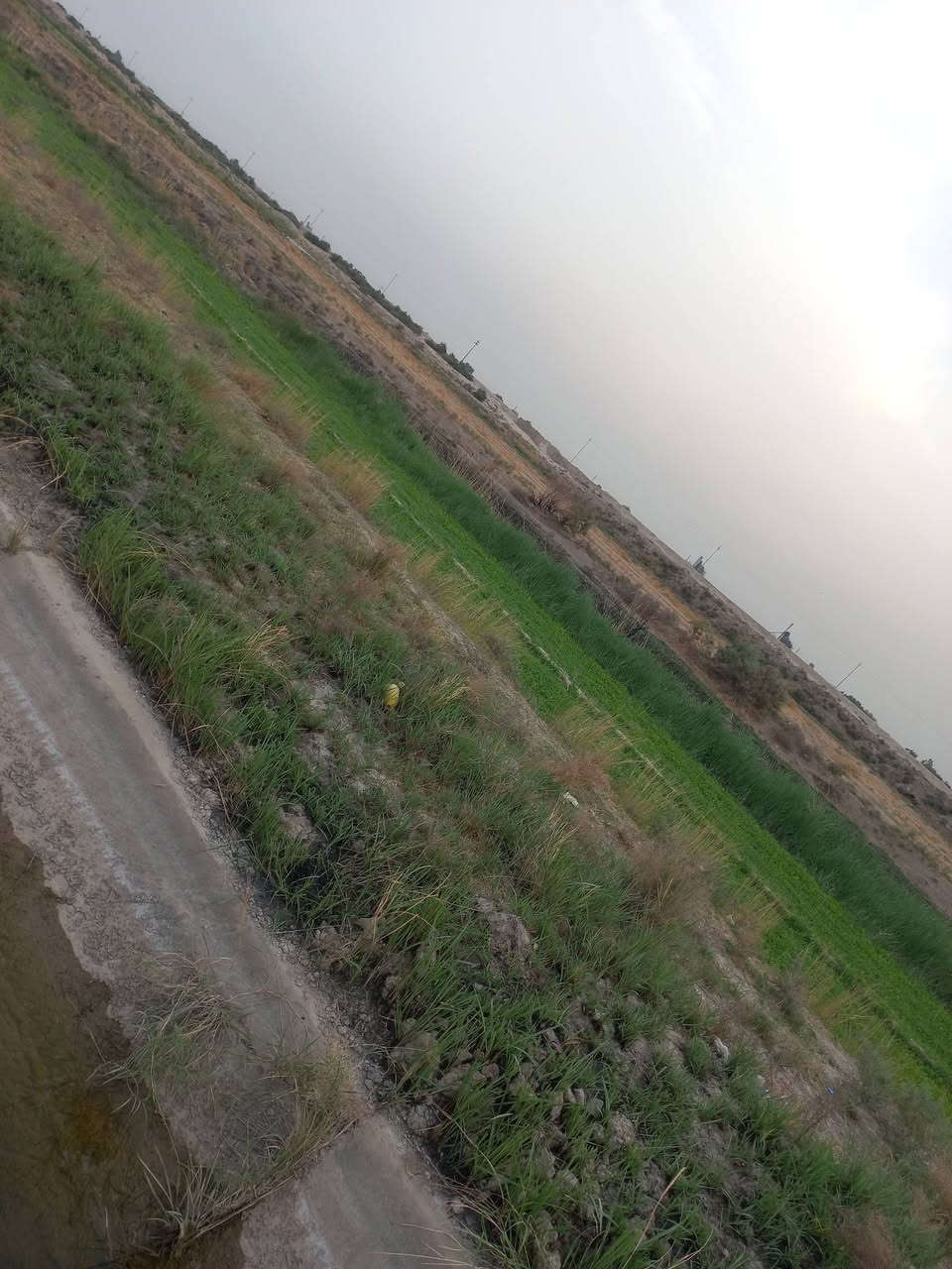 سند ٢٥ • ٨ دونم • منطقة الشيخ عامر