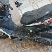 مكلف • نشر • مسيب