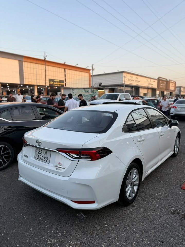 2025 hev
یەک pdr گچکەی هەیە 
٢٠ هەزار روییە 
169$کوتای
***********
