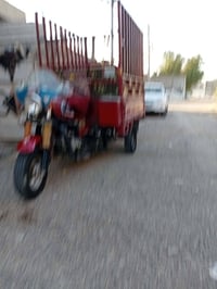 ستوته دايون • موديل ١٩ • أوراق كاملة