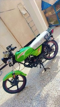 شاينك • ٢٠٢٥ • كفاله