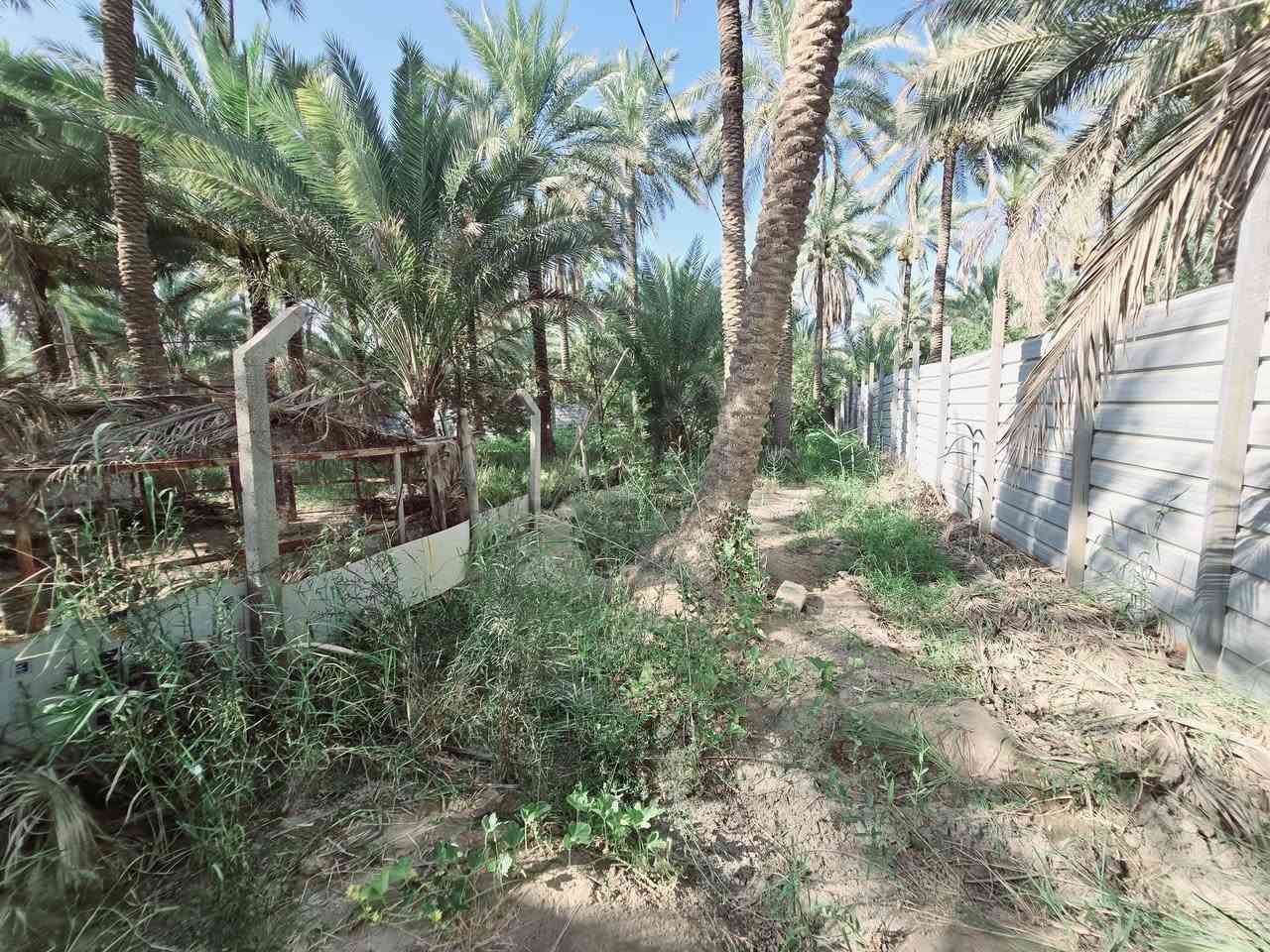 ( يالله أللهم صل على محمد وآل محمد )

( للبيع دونم  مع بيت مساحة البيت 245 متر بناء طابوك درجة

 اولى عدد الغرف 3 مع استقبال وصاله ومطبخ وصحيات علمأ

 البيت مع الاثاث وبي طاقة شمسية 12 أمبير  جنس العقار طابو
 زراعي سند 25 

( تحويل سهم مباشر بأسم المشتري 

 علمأ واجهة العقار 50 م  ونزال 50 م ومباشر عل شارع عام 

( العنوان كربلاء الحسينية الابراهيمية 

( شارع بزل مطشر يبعد عن التبليط 200 متر 

( ويبعد عن شارع الابراهيمية العام 600 متر 

(ويبعد عن مركز المدينة كربلاء  7 كيلو 

( تتوفر كافة الخدمات كهرباء مولد مي سقي سيح مي اساله 

(منطقة سكنية تربد سكن تريد ترفيهي منطقة هادئة جدا 

(  #السعر  315  مليون مع المجال للجاد بالشراء مباشر مع صاحب العقار 

( للإستفسار اكثر اتصلوا بالأرقام التالية 

(  ***********  )(  ***********  )

او مراجعة مكتب النافعي للعقارات كربلاء  النافعي للعقار  النافعي للعقارات -كربلاء  بساتين كربلاء @أبرز المعجبين 

( ***********  )(  ***********  )
