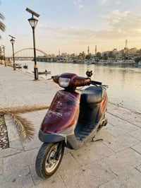 مفتوحه • شغاله • سلف