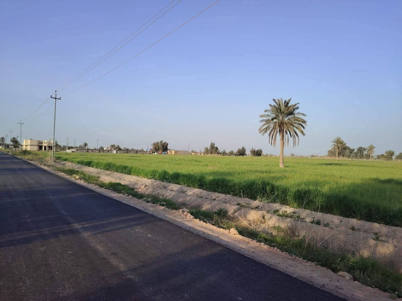 السلام عليكم عندي كاع دوانم لبيع المساحه 10طابو زراعي سند 25طابو الفلوجه ذراع دجله منطقة شيخ عامر تحديدن منطقة البركيبه يم. جامع لحسن صايره ركن كلش حلوه تخبل الواجهة الدونم الواحد 40متر متوفره كافة الخدمات السعر الدونم الواحد 35مليون وبيه مجال اتصل على الرقم ***********بي واتساب ☎️
