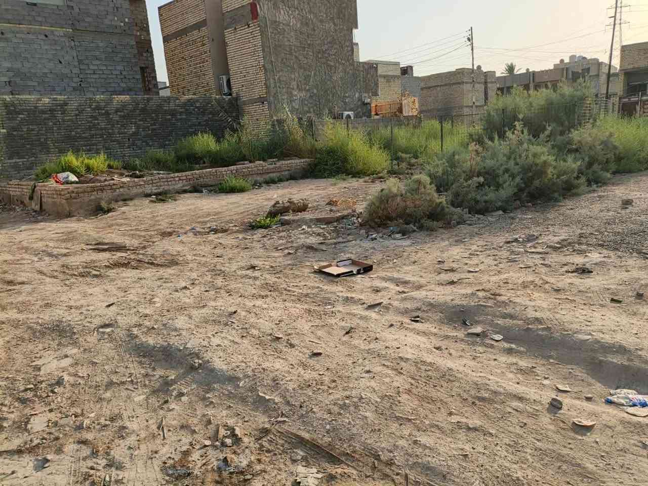 سريدات القديمة • ٥٠م • سند ٢٥