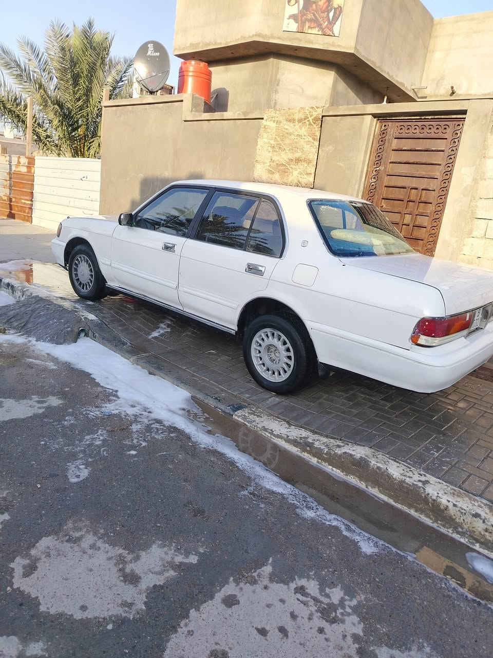 أرنب للبيع بأسمي رقم بغداد سنويه ل2030 كفاله كص ونغل  مكاني البصره الزبير    ***********
السعر 47
