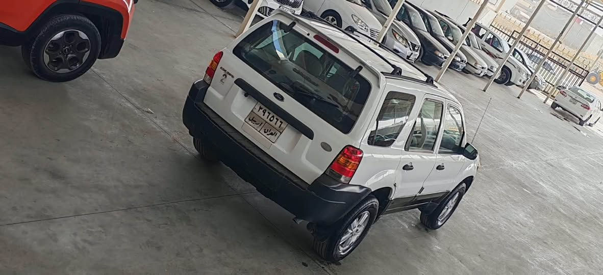 اسكيب ٢٠٠٧ • بدون صبغ • تحويل وكاله