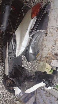 سكنس نثيه • ياباني • ١١٠