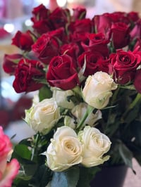 ورد طبيعي • وصول جديد • كيني ايفرت ست