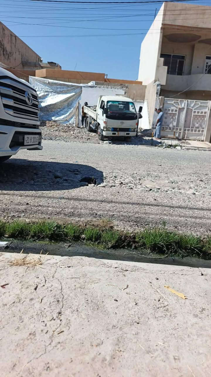 سلام عليكم
كنتر راس الثور موديل  1998 نثيه رقم ديالئ مشروع وطني بأسمنا اني الشرعي،، سنويه منتهيه قبل 6 اشهر محرك 16شرط كير يفلت النمره ال3 فقط شاصي شرط
 قماره مصبوغه 
السعر 90$ مكاني موصل الجانب الايمن
اني مكلف بالنشر للتواصل 
 *********** كورك
 اثير ***********
