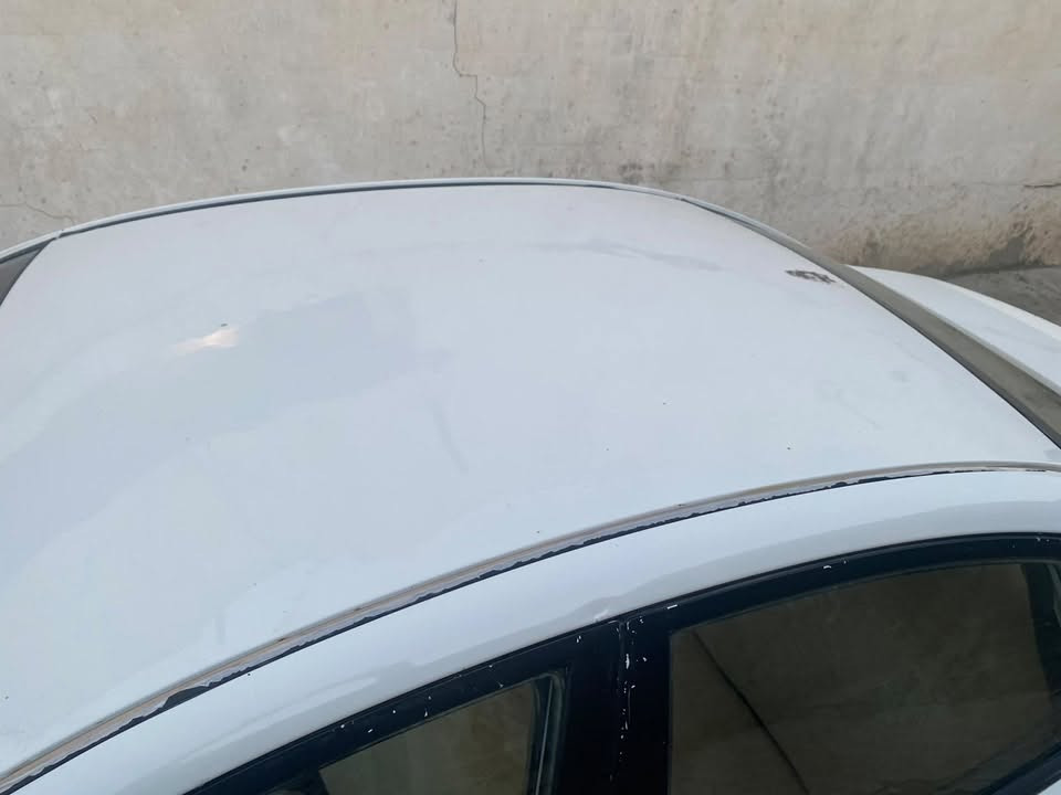 النترا • ٢٠٠٩ • رقم اربيل