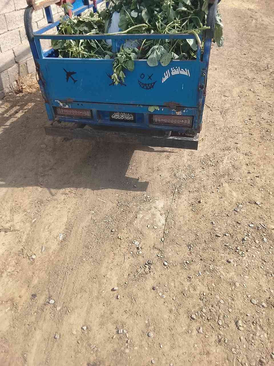 ستوته • موديل ٢٠