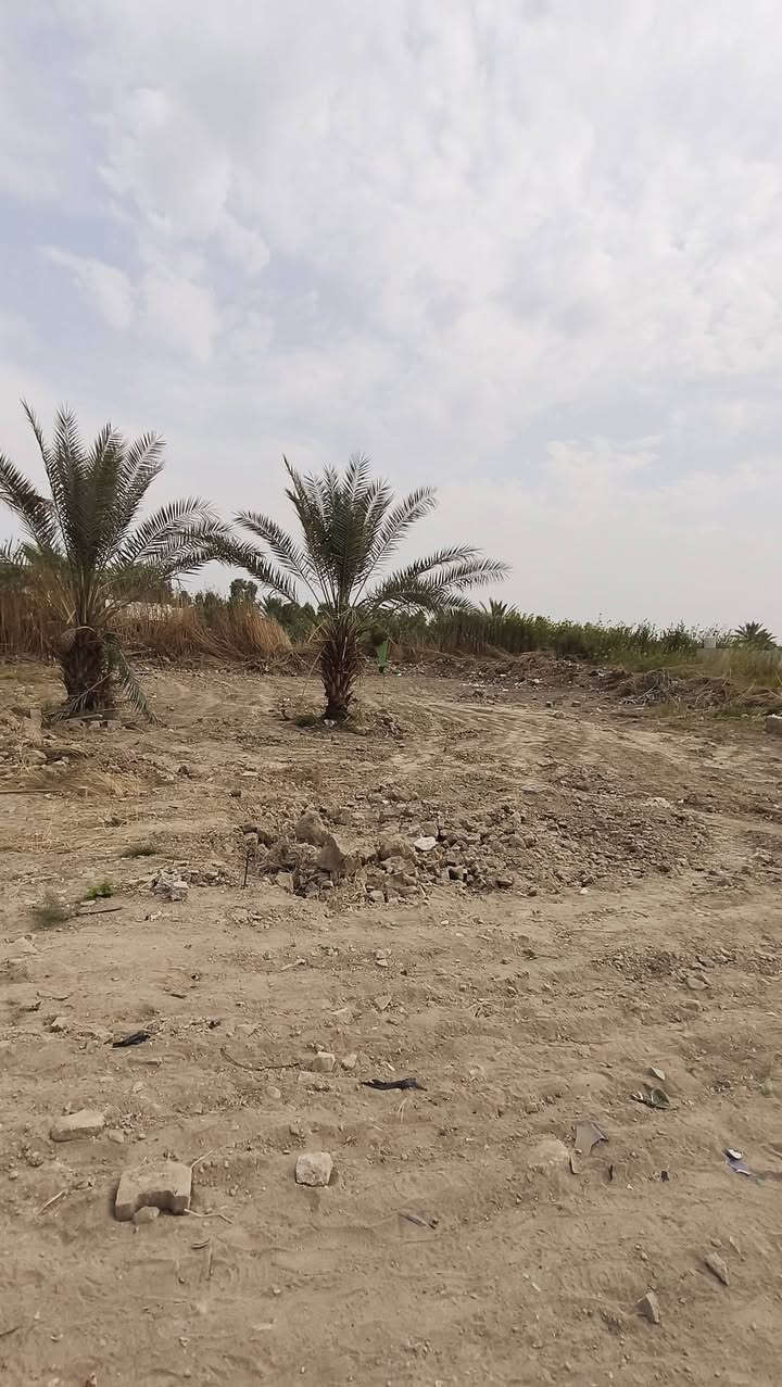قطعة أرض • ٤٠٠م • سند على ٢٥