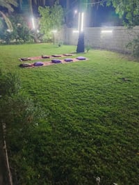 بوب الشام بلنزله • ٩٥٠م • سند ١٧
