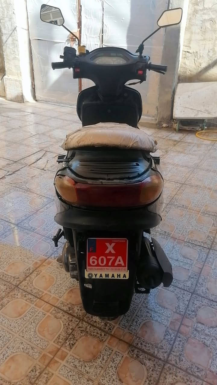 مكلف بالنشر
فراشة دولفين 140
جاهزة للبيع 370 بيها مجال
اتصال /واتساب ***********
