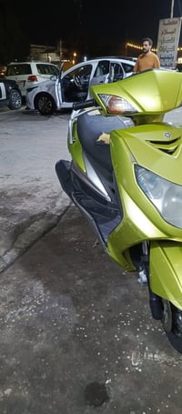 سكنس فحل • نوزل خطين • كامله