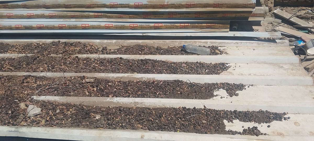 سندويش للبيع نضيف الطول من 5 أمتار مكاني بغداد العبيدي الشاري هسه يجي يحملهن بيهن 13 وكثر ***********
